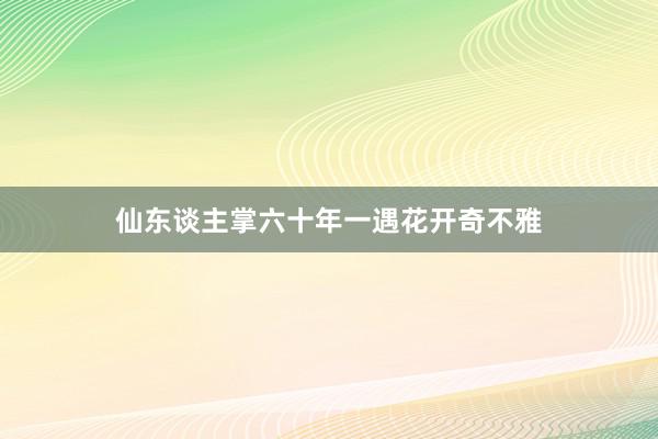 仙东谈主掌六十年一遇花开奇不雅