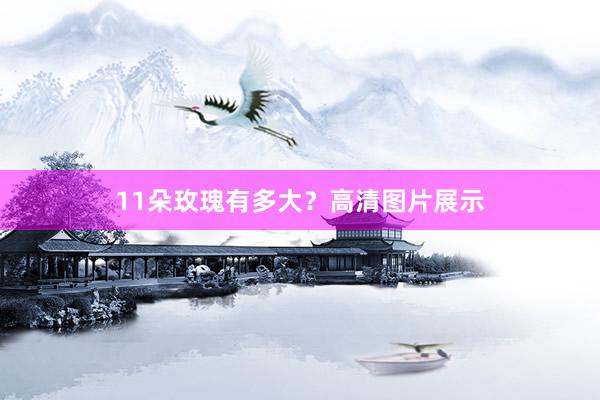 11朵玫瑰有多大？高清图片展示