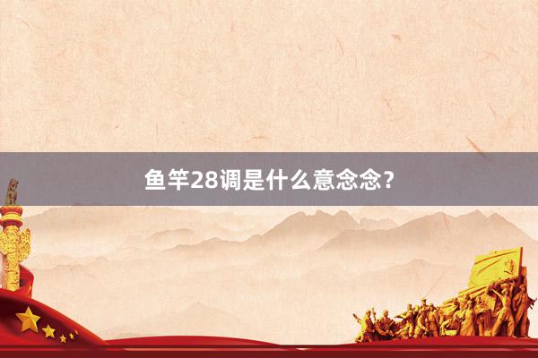 鱼竿28调是什么意念念？